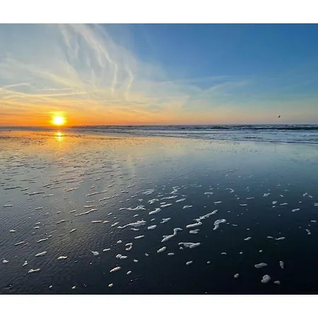 Penthuus Modern Retreat Ferienhaus Juist